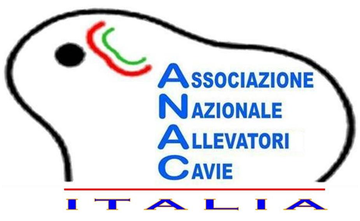 logo anac
