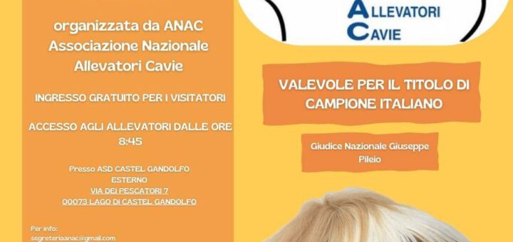 expo di primavera 2025